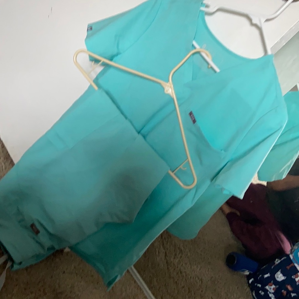 Medium Fresh Aqua Fig top